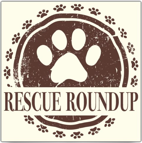 TulsaArf's tweet photo. Come Adopt A New Best Friend at the Rescue RoundUp this weekend at the Spring Home Expo Show! Friday April 20th - Sunday, April 22nd! We'll be there to support our efforts! Won't you join us?
#RescueRoundUp #AdoptDontShop #TulsaDogs #Tulsa
https://t.co/HGnUn9prsQ https://t.co/Yx9Z5nn5jh