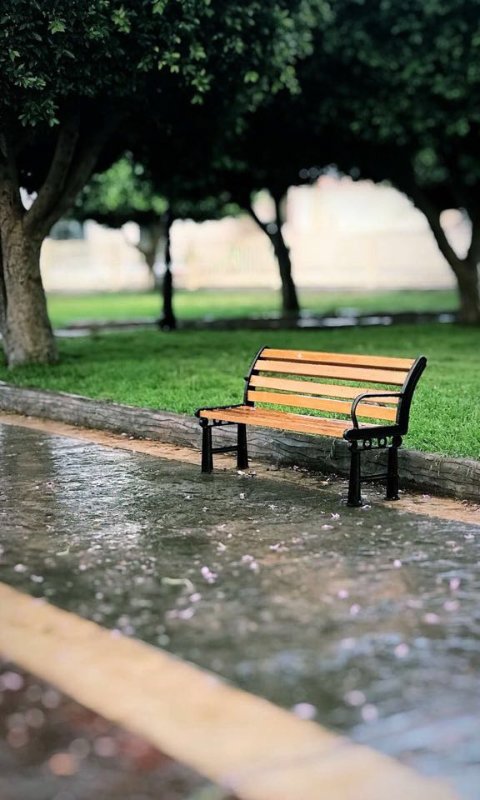 15R___'s tweet image. #صباح الغلا  
#والشوق ومواصل #الغالين
#صباح يرد الروح
ويحيي #مشاعرها