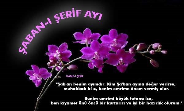 SELAMUNALEYKÜM.HAYIRLI SABAHLAR
YENİ GÜNE VE YENİ AYA BİSMİLLAH
BUGÜN 1 ŞABAN 1439
MÜBAREK OLSUN