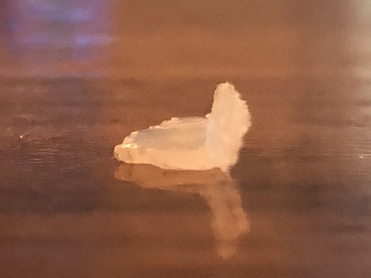 sonicdethmonky's tweet photo. Stopped by @b_good_ in Swampscott on Sunday and two out of the three kids found sharp plastic pieces in their milkshakes!  Both actually make there way up through the straws and into their mouths....beyond horrified. #banning #concered https://t.co/YBXOKBbKLR