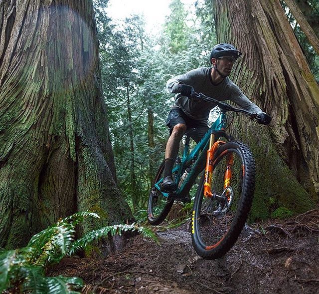 WWCyclery1's tweet photo. Who else is stoked about hopping on the all new @yeticycles SB100? The step-cast 34 is pretty cool too. Would you ride it?
.
.
.
.
#yeticycles #sb100 #fox34 #stepcast #maxxis #stansnotubes #foxshox #shimano #worldwidecyclery https://t.co/3AxzgodNfA https://t.co/mIgUnytc77