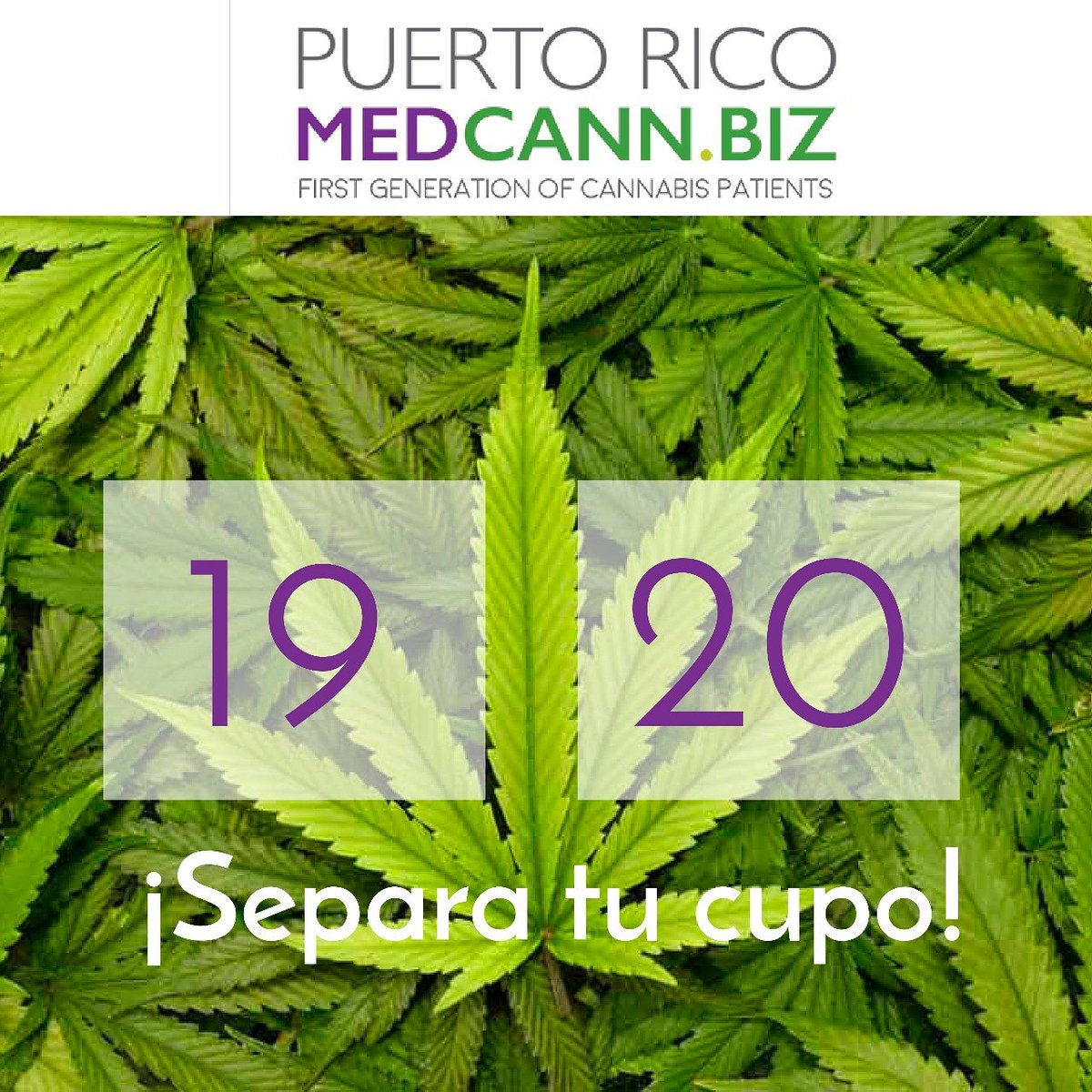 PRmedcann's tweet photo. 🍀🌿 ¿Ya separaste tu fecha 19 y 20 de abril de 2018?  Te estaremos esperando en Vivo Beach Club
✔️San Juan, Puerto Rico - Contáctanos en https://t.co/2KSmIUvAIZ o llamanos al  939.338.3303 https://t.co/HCKJaNykzG