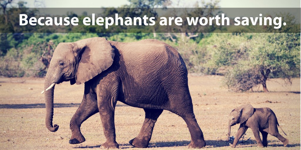 Environmental Action tweet media