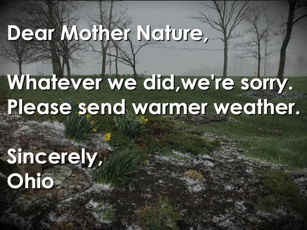 wsyx6's tweet photo. Dear Mother Nature, 

Elsa said "Let It Go," it's April! 

weather --> https://t.co/yskQlwwlBZ https://t.co/nnuGMl670H