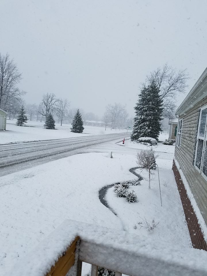 WGRZ tweet media