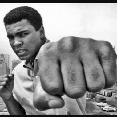 Pedro Flores tweet media