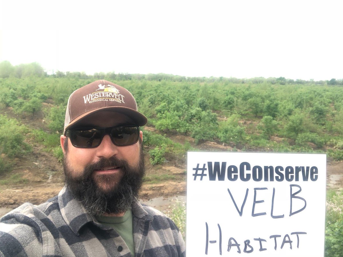 wesmitigation's tweet photo. WES Sacramento is delighted to partner with @USFWSSac once again to promote conservation in the region. Now tell us - what do YOU conserve?

#WeConserve #VELB #conservation #wesmitigation https://t.co/YJM7wh559B