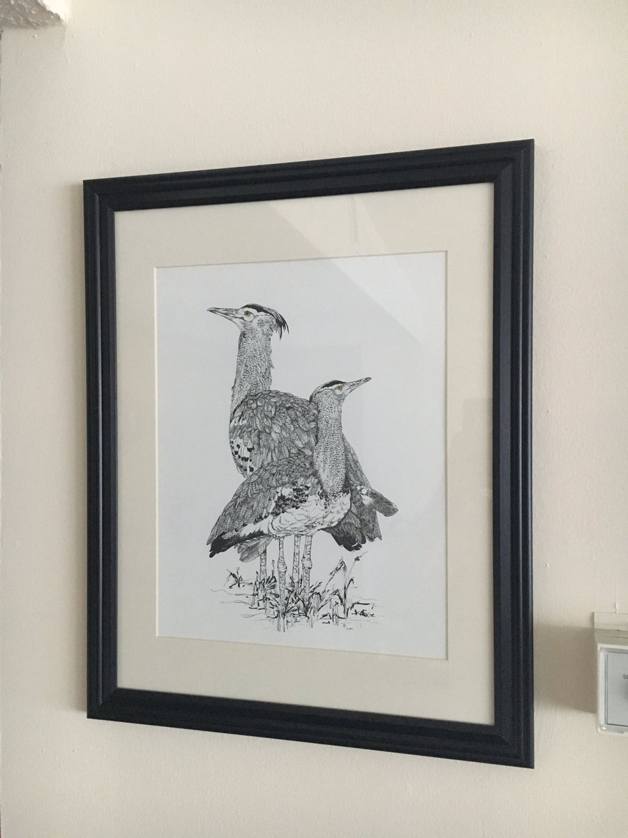 kirbiiformes's tweet photo. Love my kori art more and more each day! One of the many treasures from @zoos_aquariums midyear #TAGmart @jacksonvillezoo https://t.co/Q3x1t1ONW6
