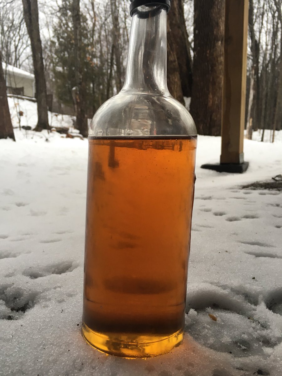 Couldn’t wait till breakfast😁. We went breakfast for dinner!  First of the year #maplesyrup ready to go!
News flash! Soooooo good.
#trentlakes #ontario #ennismore #kawarthalakes #millbrook