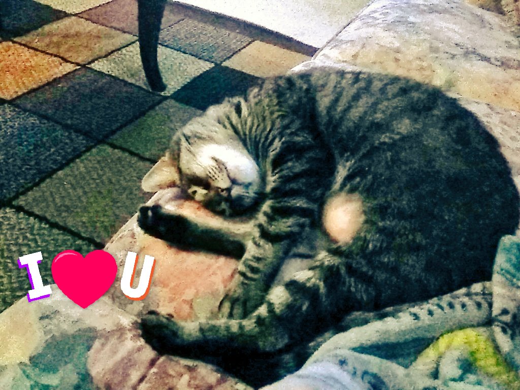 Christi89366124's tweet photo. My babygirl is so cute! https://t.co/Q5MXbO9zey