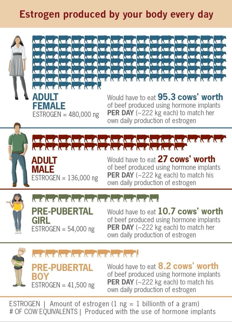 DhelmBeefGuy's tweet photo. This is an excellent visual on Estrogen production.  Eat beef! #beef #estrogen #hormones https://t.co/bk6Oe6DHL9