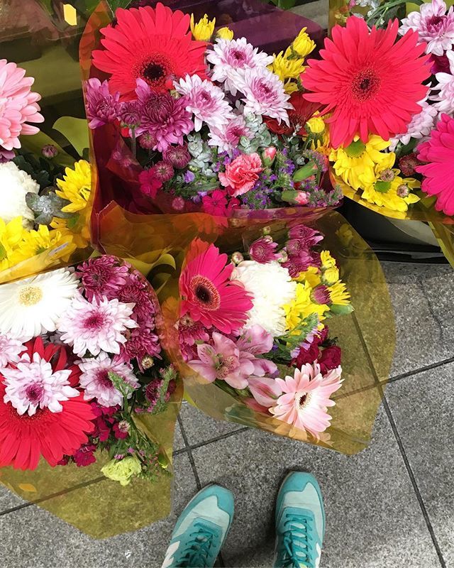 mypoppetblogs's tweet photo. A little bit of colour to brighten up your morning. *
*
*
*
*
*
*
#dscolor 
#abmlifeiscolorful 
#colorventures 
#livecolorfully 
#acolorstory 
#myunicornlife 
#dslooking 
#colorhunters 
#abmhappylife 
#ihavethisthingwithcolor 
#abmlifeissweet 
#doitforth… https://t.co/enQgTQipK8 https://t.co/Jsj66sk00S