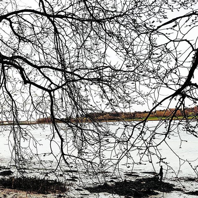 janakyomoon's tweet photo. Another point of view #kysonpoint #suffolk https://t.co/jrMQJX93gM https://t.co/Prk6OZm1ir