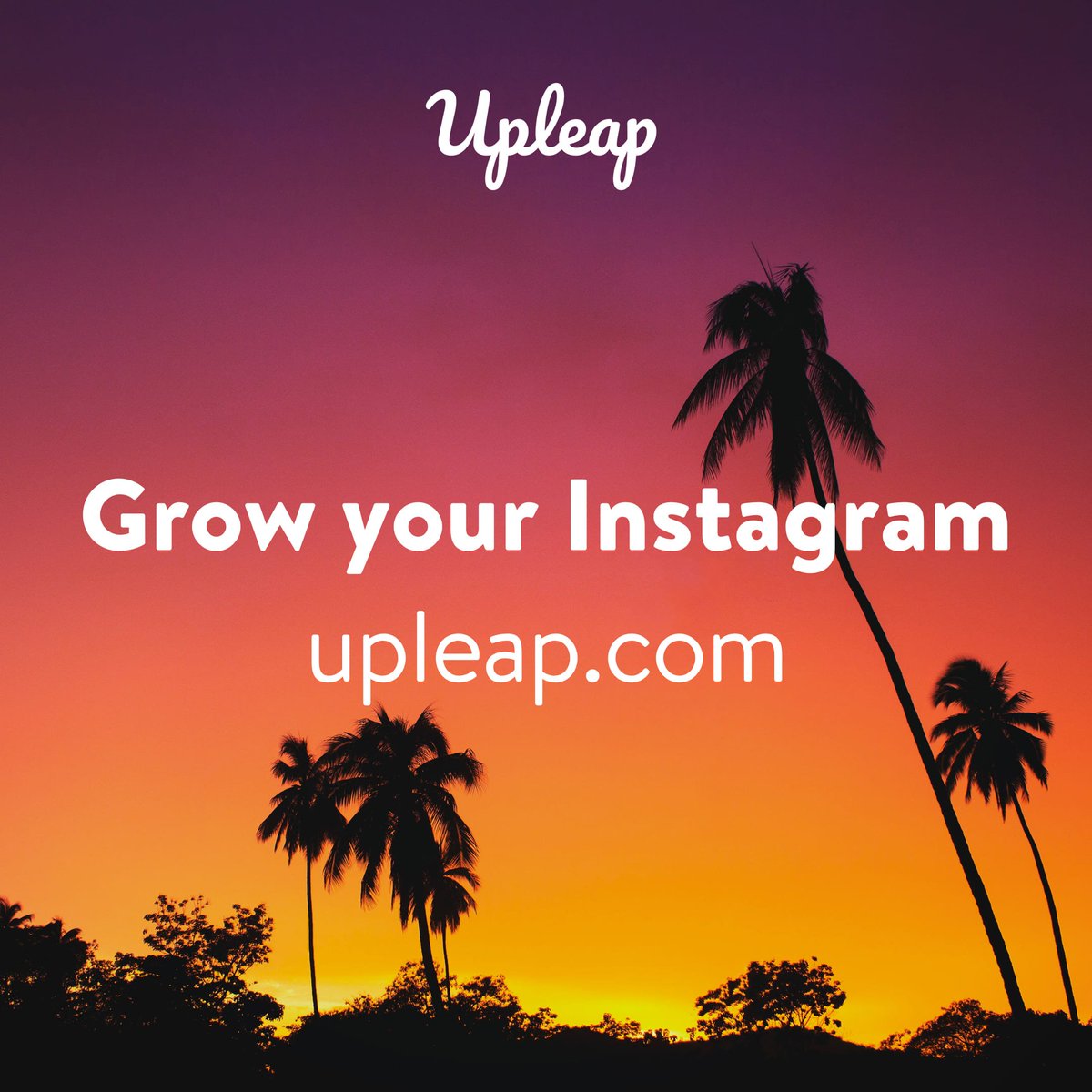 DivaSquadModels's tweet photo. Want more followers on Instagram? Check out https://t.co/Vq3syJ9fOJ #teamupleap https://t.co/6jfN5qs1Kk
