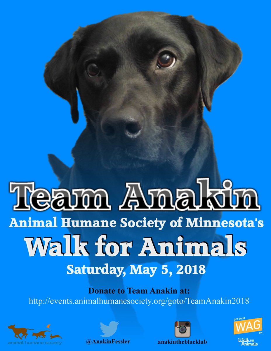 AnakinFessler's tweet photo. May 5th is coming up fast! 

#TeamAnakin is ready to get our wag on again this year!
 
#WalkForAnimals 
@Animal_HumaneMN

Donate to Team Anakin here:
https://t.co/irP3Ymxne5 https://t.co/clDEUIE70Y