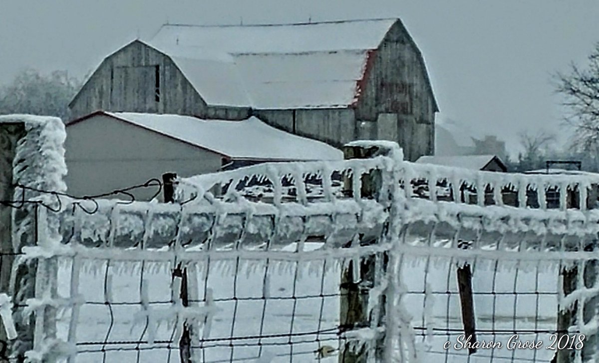 Sharon_Grose's tweet photo. #winterwonderland #SpringIsLate #ice #CanadianSpring #CanadianWinter #April2018 #AprilSnow #Nature #Ontario #Canada #beautiful #frozen. #Cdnweather #farmlife #RuralOn #OntAg #OntarioWeather #Cdnweather #staysafe #followmeonfacebook #SharonGrosePhotography #icestorm2018 https://t.co/Cu8tW0WLyX