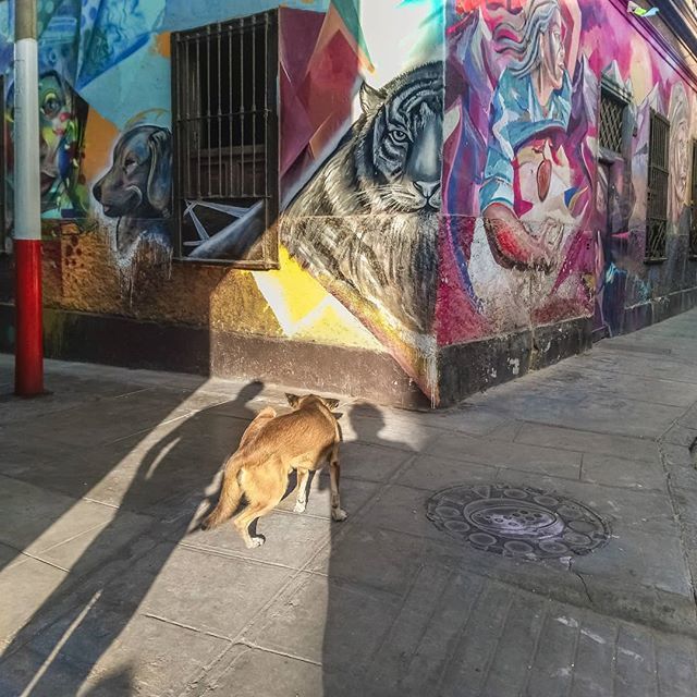 EverydayLATAM's tweet photo. Grafittis en la zona del centro monumental del Callao, ciudad portuaria situada en la provincia constitucional del Callao, al oeste de Lima./Grafittis in the area of ​​the monumental center of Callao, a port city located in the constitutional province of Callao, west of Lima… https://t.co/ouGaKYdeK1