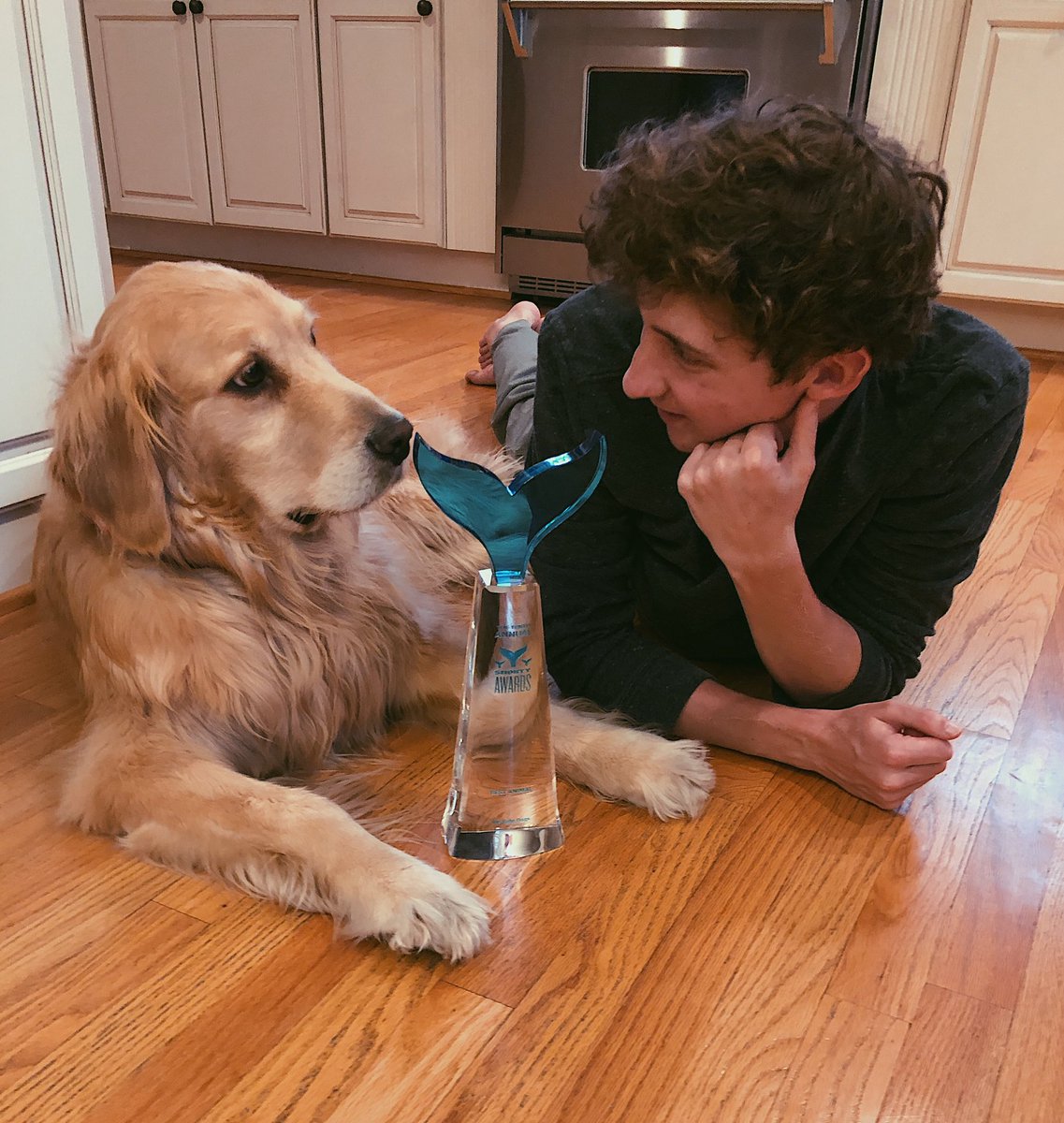 dog_rates's tweet photo. Thank you to everyone who voted for us in the Shorty Awards and to anyone who has ever liked a dog rate. This incredibly loving and passionate community is a force to be reckoned with. Zoey is still processing her victory ❤️ https://t.co/eJyG0FOL9l