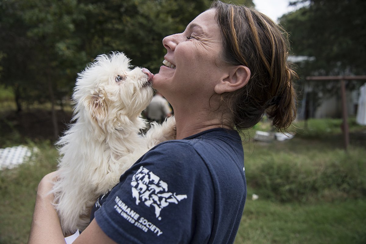 humaneworldorg's tweet photo. #Maryland state legislature has voted overwhelmingly to pass a bill banning the sale of puppy mill dogs in pet stores! 🐾🎉 https://t.co/eMQQPetacy https://t.co/bUPu5qvfHY