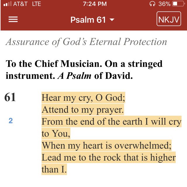 “When” my heart is overwhelmed — not “if”. We all have moments or seasons where we feel utterly overwhelmed. Is called being human.  Don’t run from God but run to him in those times. He sees. He knows. He cares. He loves. He understands.