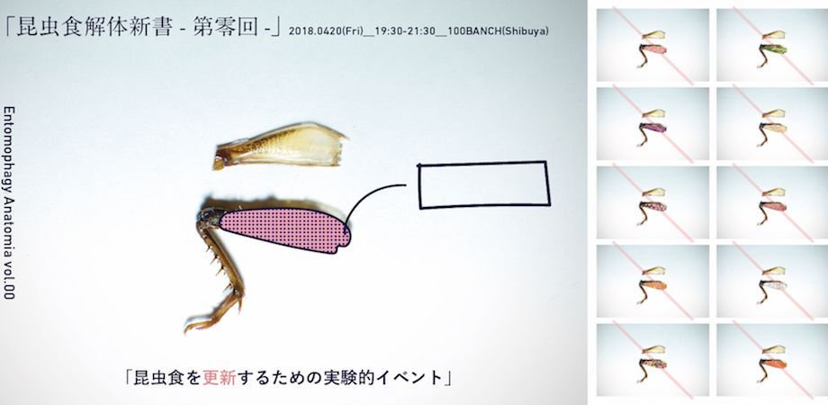 fabcafe_com's tweet photo. 【昆虫食解体新書  #0】

今話題の「昆虫食」を複眼的に解体！
昆虫食がもつ魅力を考えます！

#昆虫食 #昆虫 #art #Insect #Insecteating #Bugology #Entomophagy

https://t.co/sd3kvER0iB https://t.co/rPp7FUBWRK