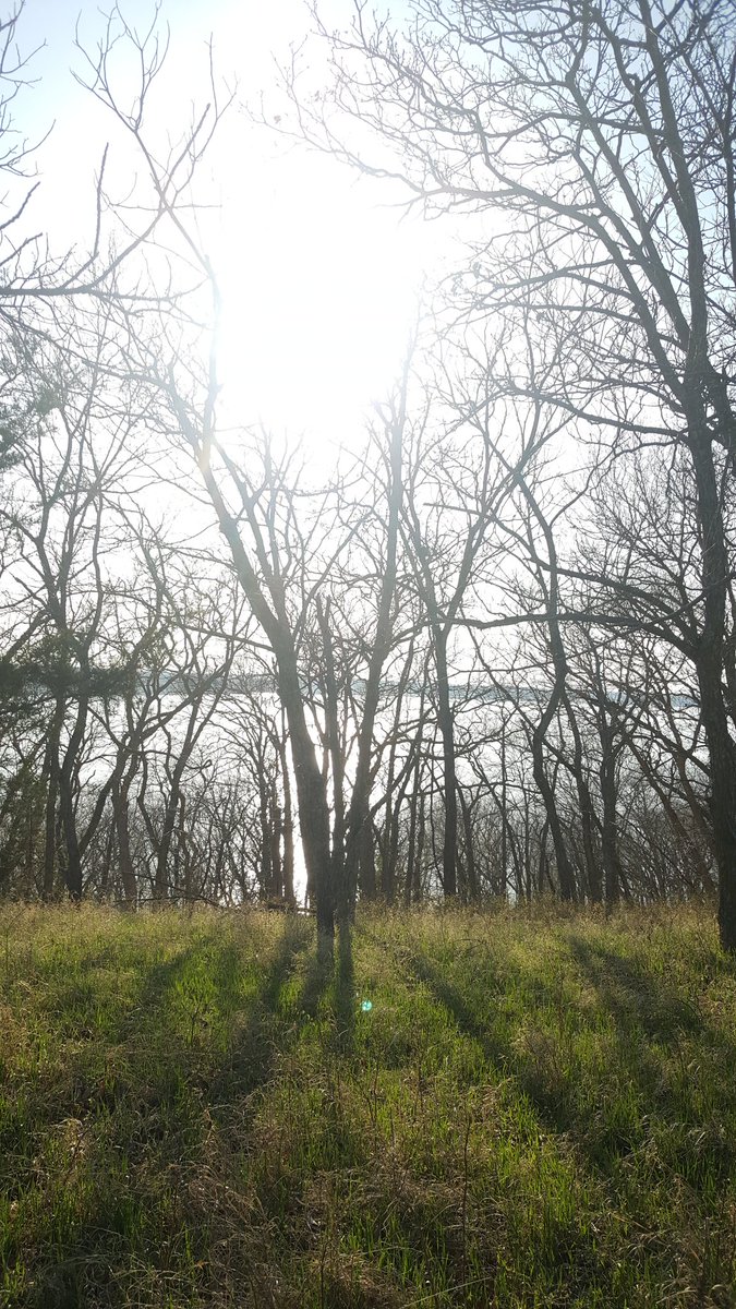 Dirtygirladven1's tweet photo. Spring is finally arriving here in beautiful northeast Kansas! Bug spray is a must but #getoutstayout #hikekansas #perrylake #dirtygirladventures https://t.co/aAzKwh3gZY