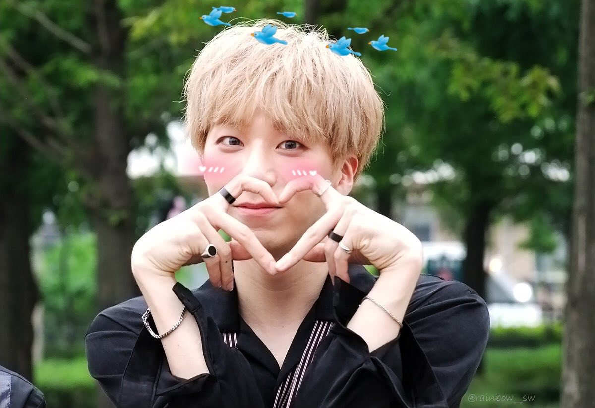 softidoibot's tweet photo. kim moonkyu ♡ hotshot
↳ ꒰ #김문규 ♡ #핫샷 ꒱
↳ requested! https://t.co/uhxMryP8VK