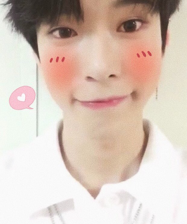 softidoibot's tweet photo. kim dongyoung ♡ nct
↳ ꒰ #김동영 ♡ #엔시티 ꒱
↳ requested! https://t.co/Rku7eZ8TJd