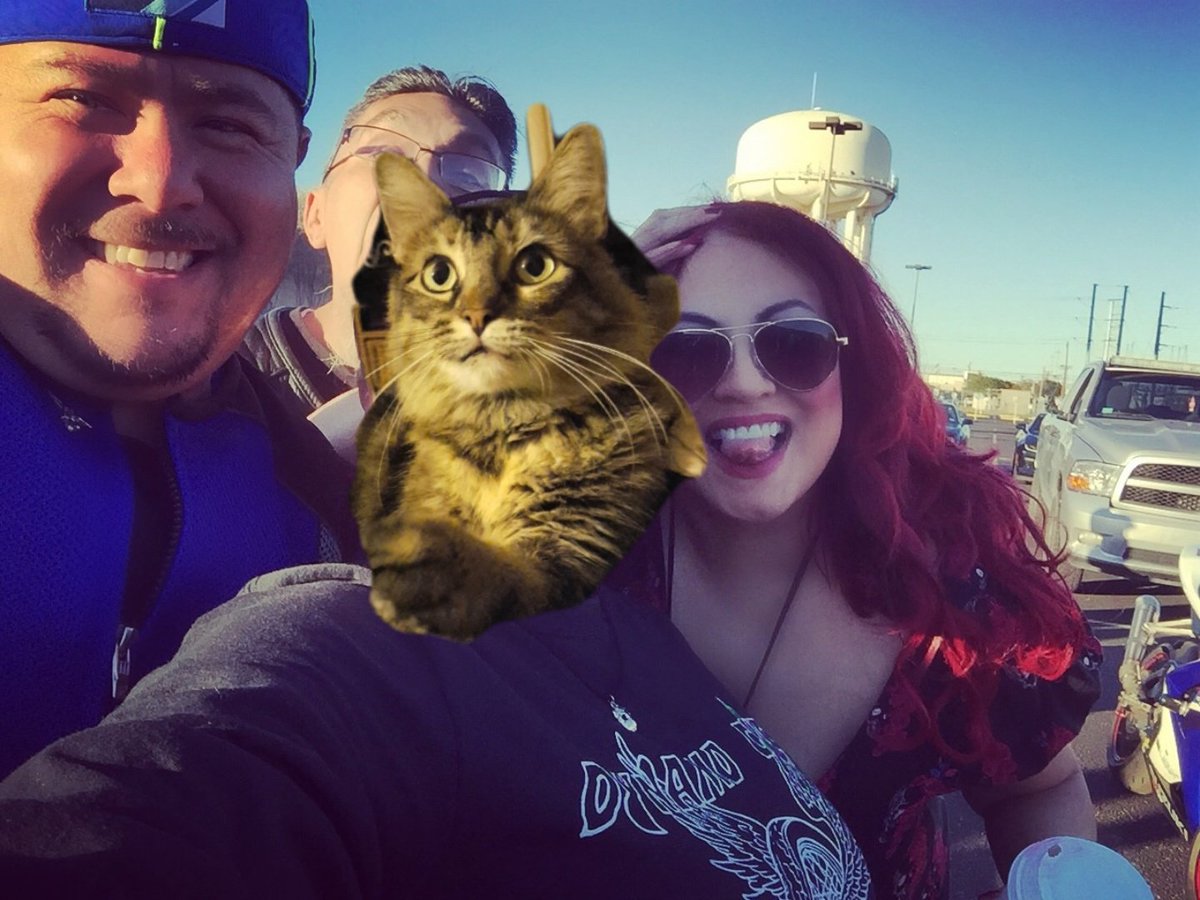 Vampirella1916's tweet photo. Its good to be able to add your cat over your ex bffs face 😂😂😂 

#lol #exbff #thathoe #mycatrules https://t.co/dV6St6PuLT