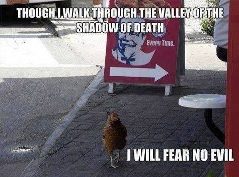 cynicalhumor's tweet image. 