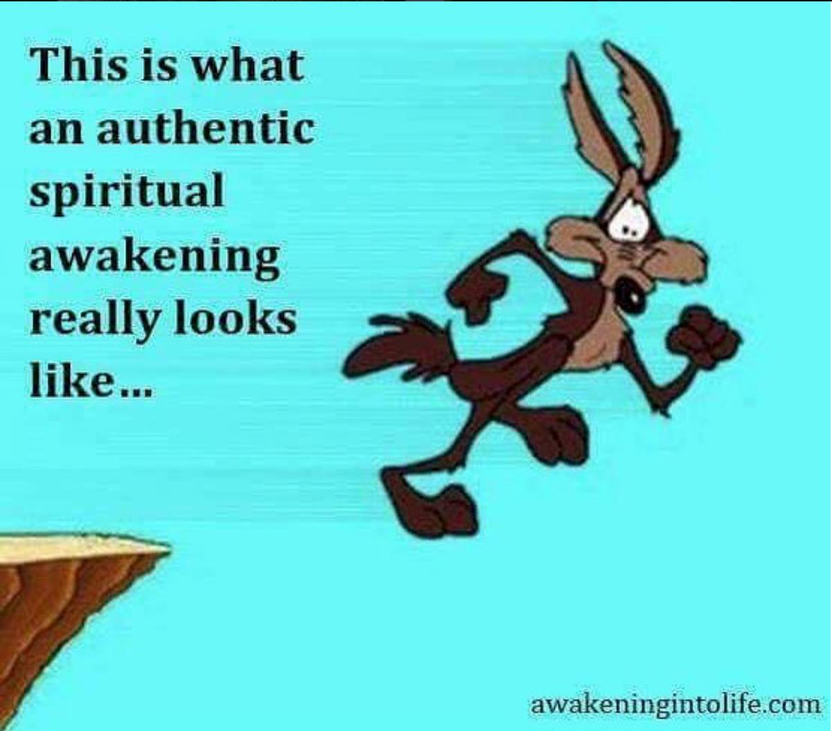 Joan Halifax tweet media