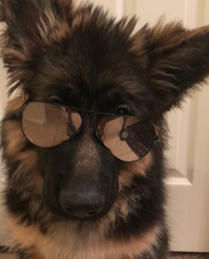 - por que bajaste el brillo del celular?
- porque nadie brilla mas que yo