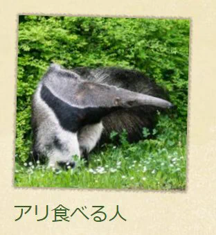 画像 / Picture