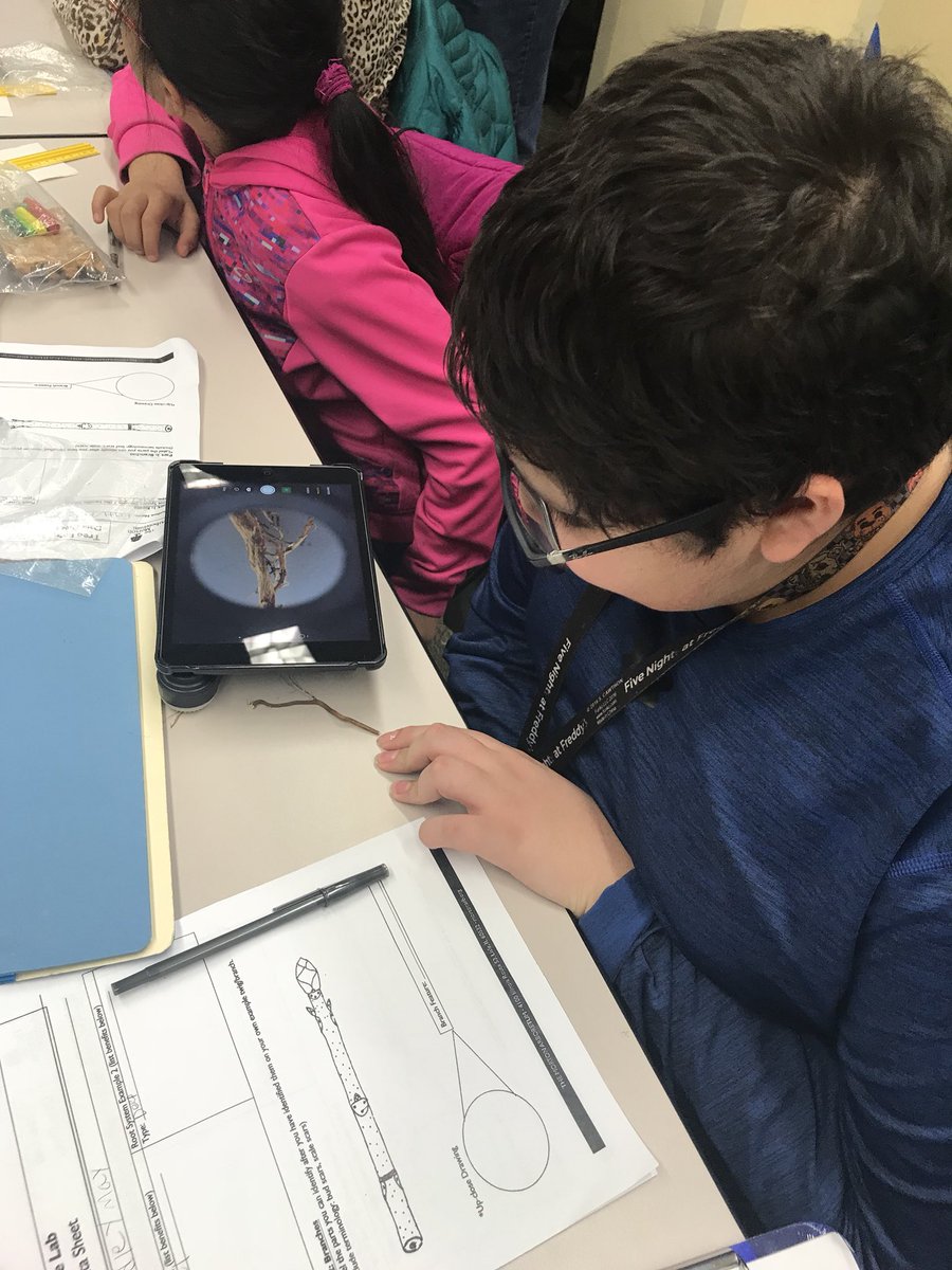 We learned a lot about plants and trees today at <a href="/MortonArboretum/">MortonArboretum</a>! The students loved using the iPad microscopes to look at roots, leaves and bark! #WeAre44