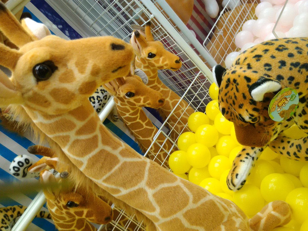 キリンスマッシュ Hashtag On Twitter