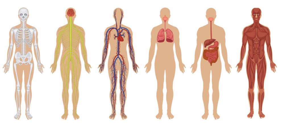 medical management of psychotropic side