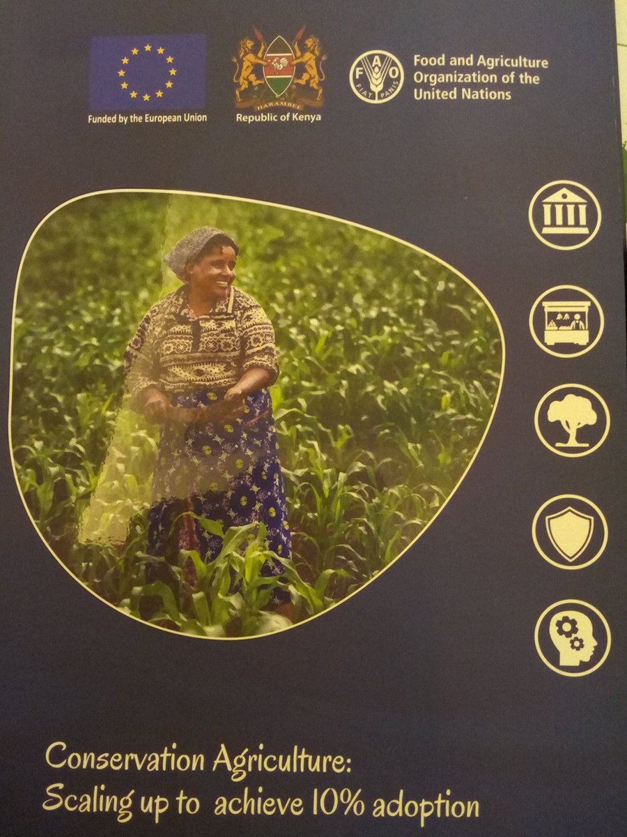 Noah Nasiali-Kadima tweet media