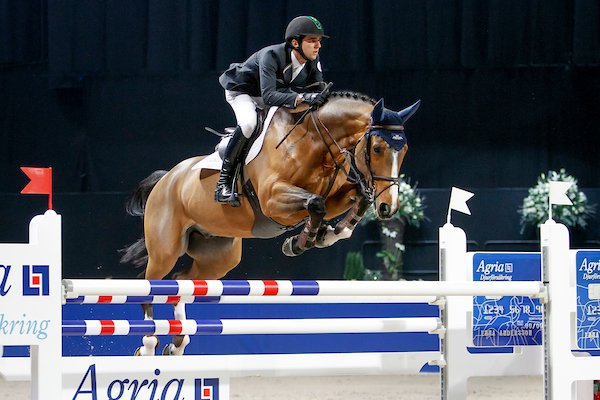 GP Opglabbeek: alweer <a href="/marlonzanotelli/">Marlon Zanotelli</a>, nu met Icarus.🍾🍾🍾 Ook Kannabis vd Bucxtale en Kinky van ’t Heike beste in hun proef: belgian-warmblood.com/NL/nieuws/gp-o…