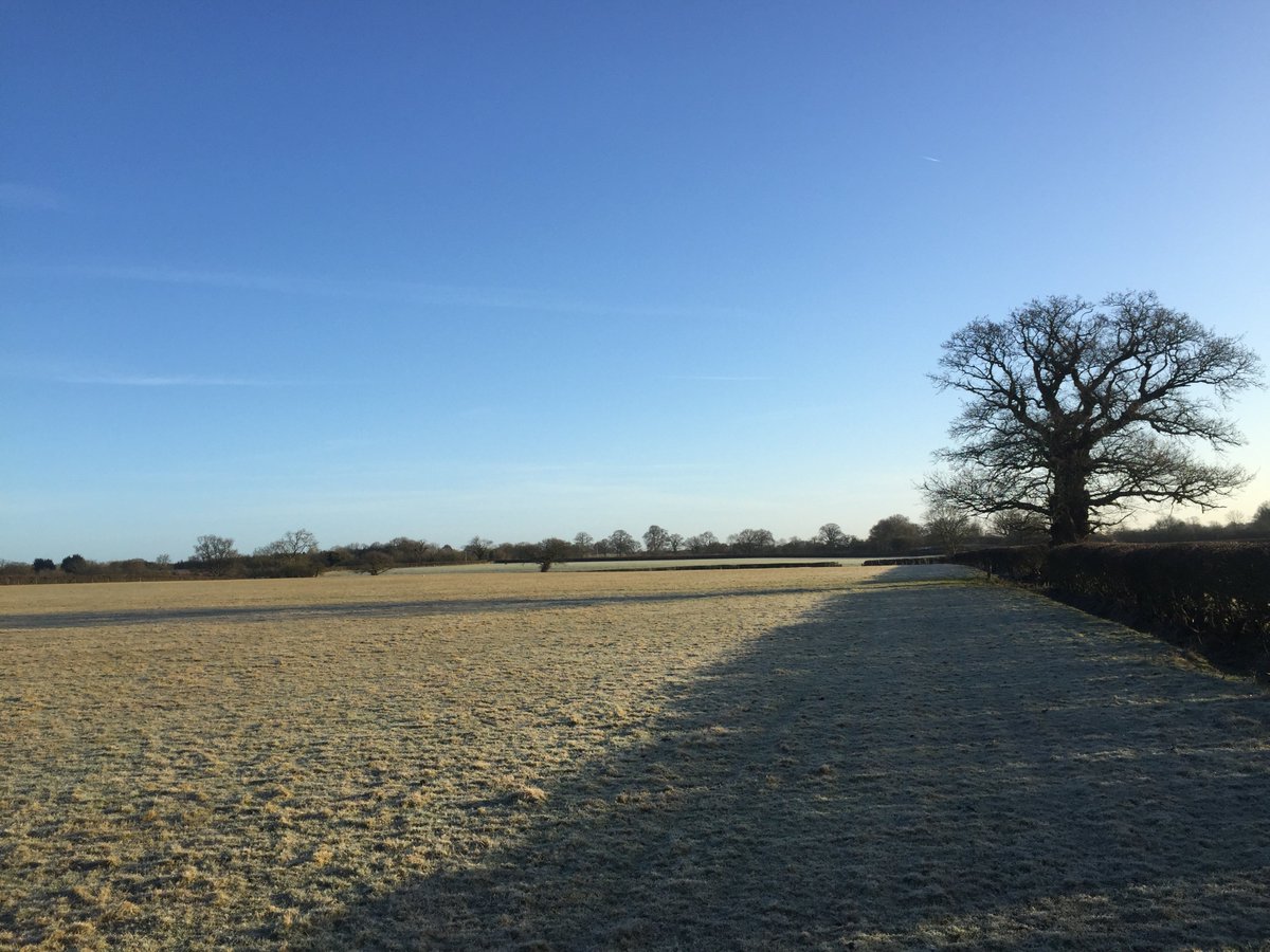 LCOFarm tweet picture