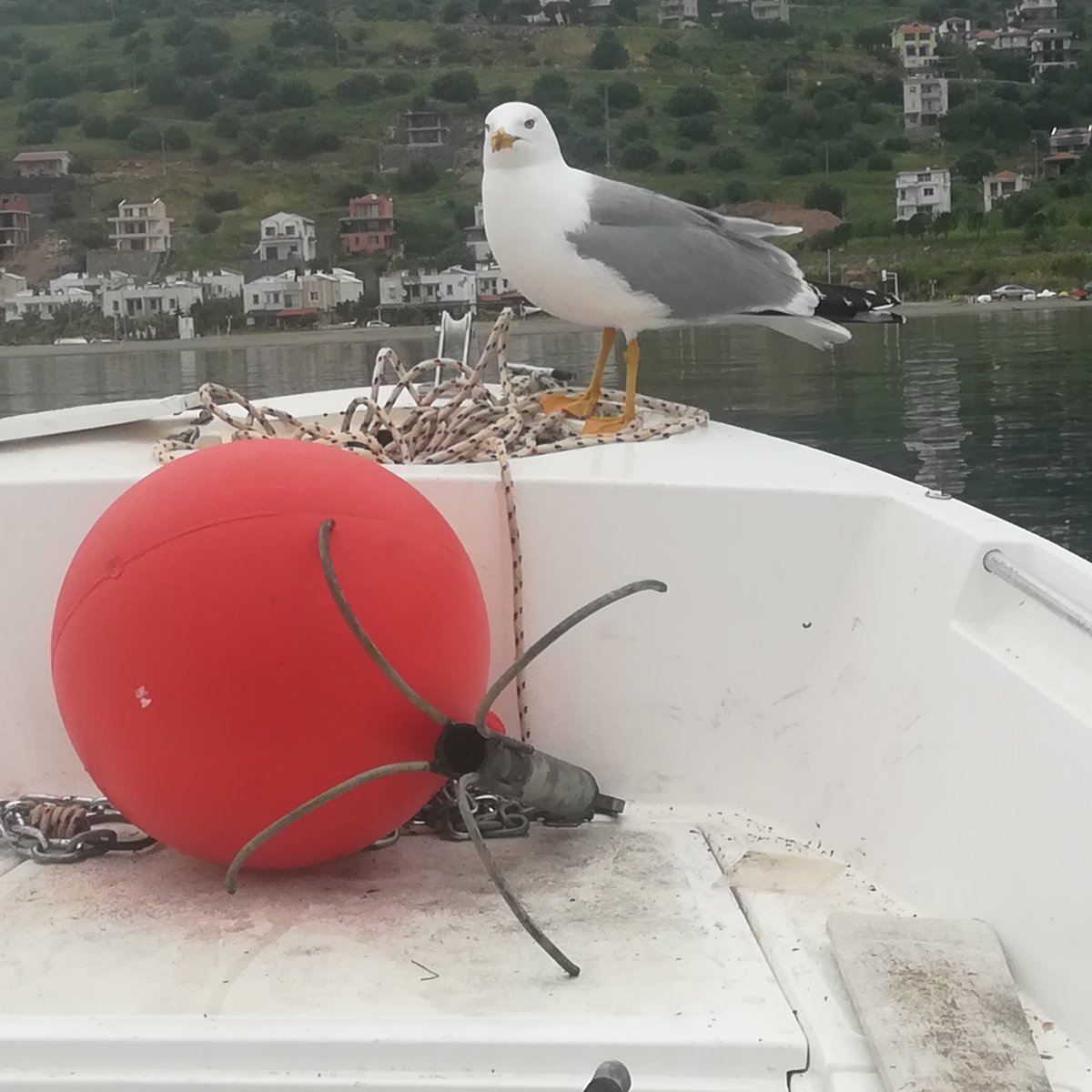 #YeniProfilResmi