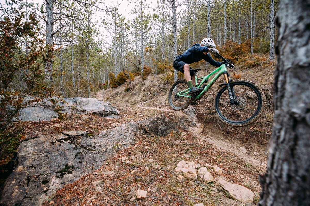 pinkbike stumpjumper