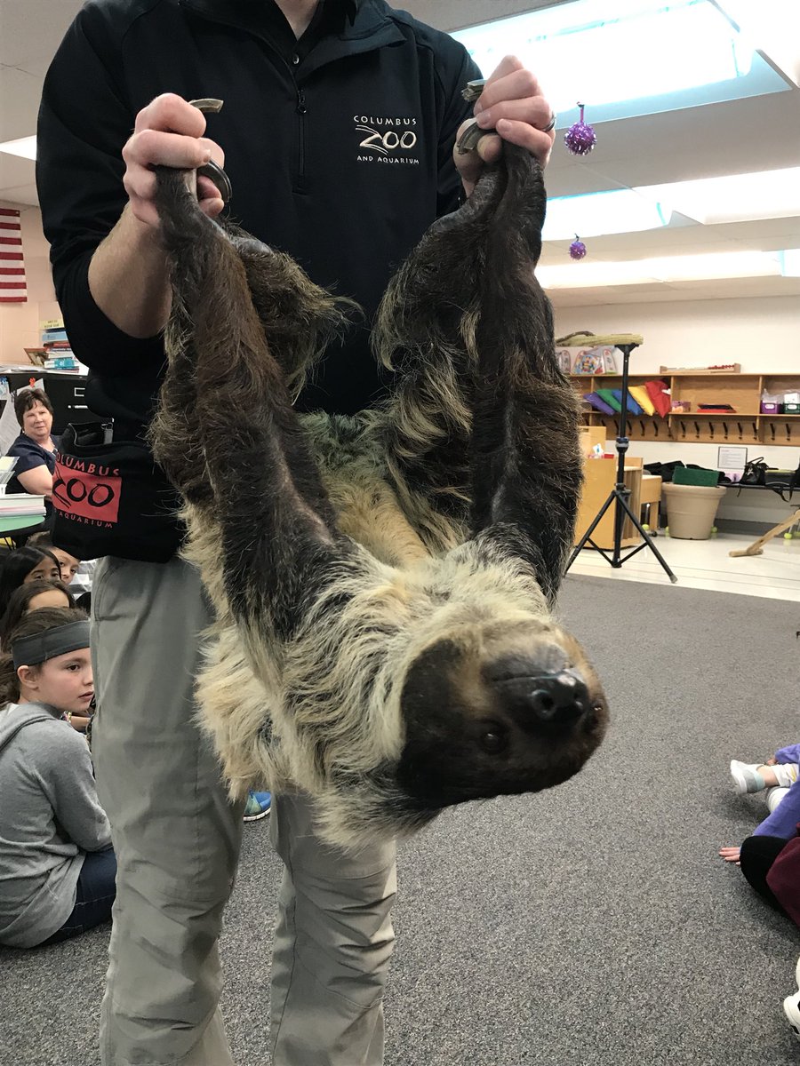 mbugg2's tweet photo. Thank you HTE’s PTO!  We had an amazing time learning about animal adaptations with visitors from the Columbus Zoo today! https://t.co/ELpjA2KxK4
