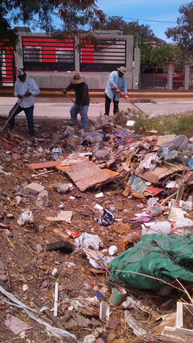 LicPipoBarreraG's tweet photo. #GuaymasLimpio
Desde la Colonia 23 de Marzo.
Atendiendo el llamado de las familias.
Retiro de basura y maleza del arroyo.
Se pide a los vecinos del sector ser más precavidos.
Ni un minuto de descanso.
Todo se va atender en tiempo y forma.
Porque es lo correcto.
@ramos_eduardo https://t.co/n0dkGcYZjj