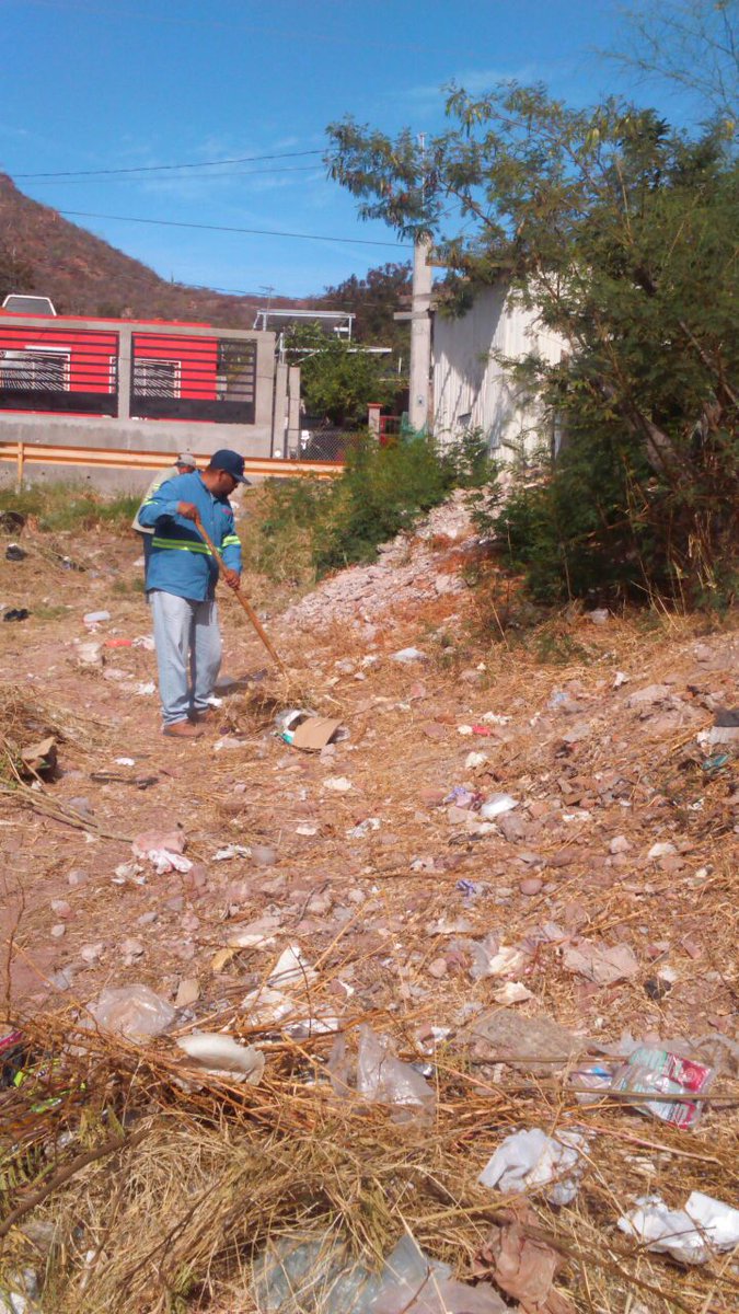 LicPipoBarreraG's tweet photo. #GuaymasLimpio
Desde la Colonia 23 de Marzo.
Atendiendo el llamado de las familias.
Retiro de basura y maleza del arroyo.
Se pide a los vecinos del sector ser más precavidos.
Ni un minuto de descanso.
Todo se va atender en tiempo y forma.
Porque es lo correcto.
@ramos_eduardo https://t.co/n0dkGcYZjj