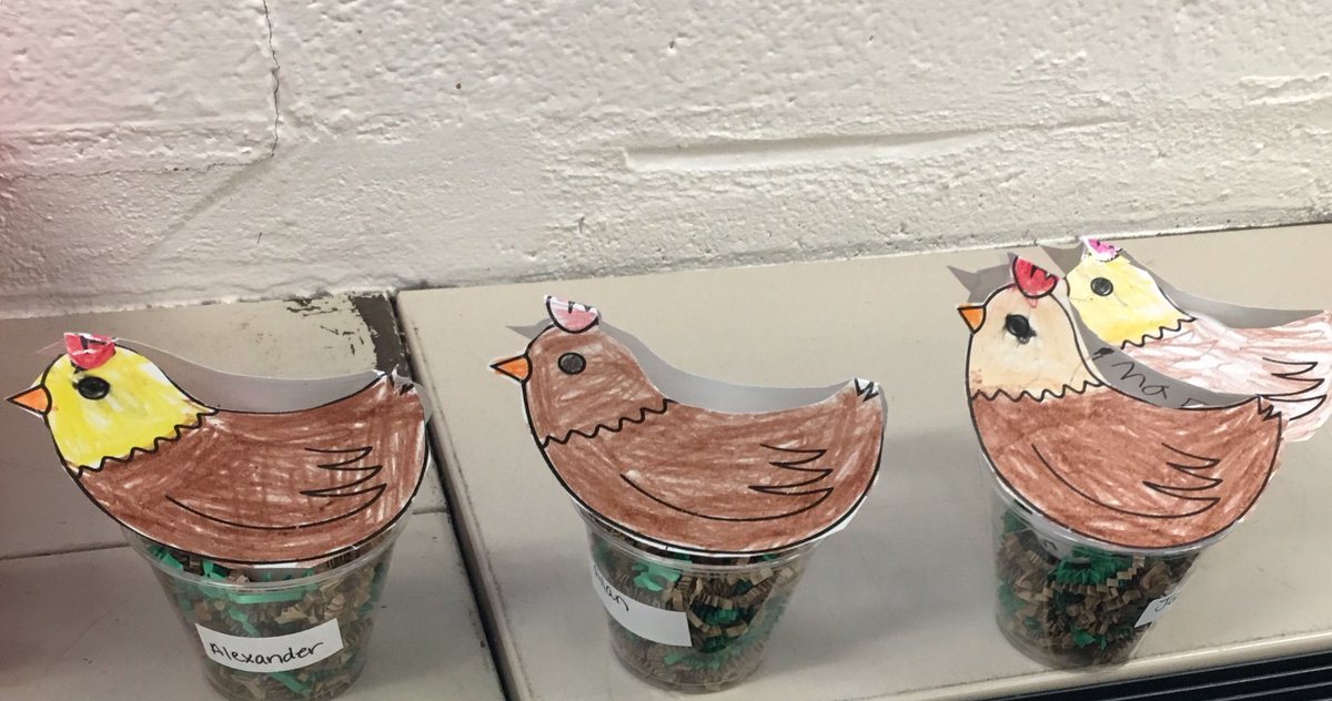 ArreguinsClass's tweet photo. Cada estudiante tiene su nido, huevo, y gallina que tienen que cuidar hasta que nazcan los pollitos. 🐣 https://t.co/nIC8fHXnck