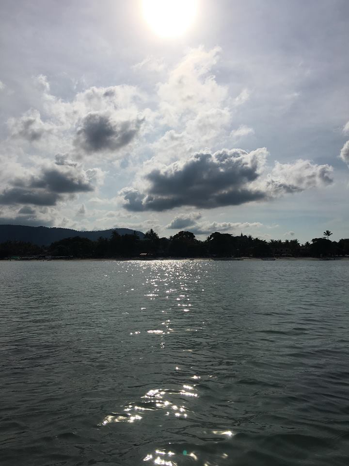 SmartTravelApp tweet media