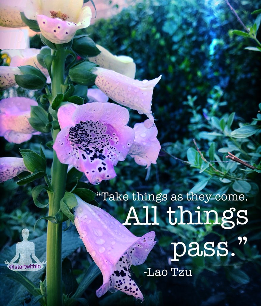 _startwithin's tweet photo. #allthingspass #laotzu #soulwork #lightworker #raiseyourconsciousness https://t.co/eaHYh0msrf