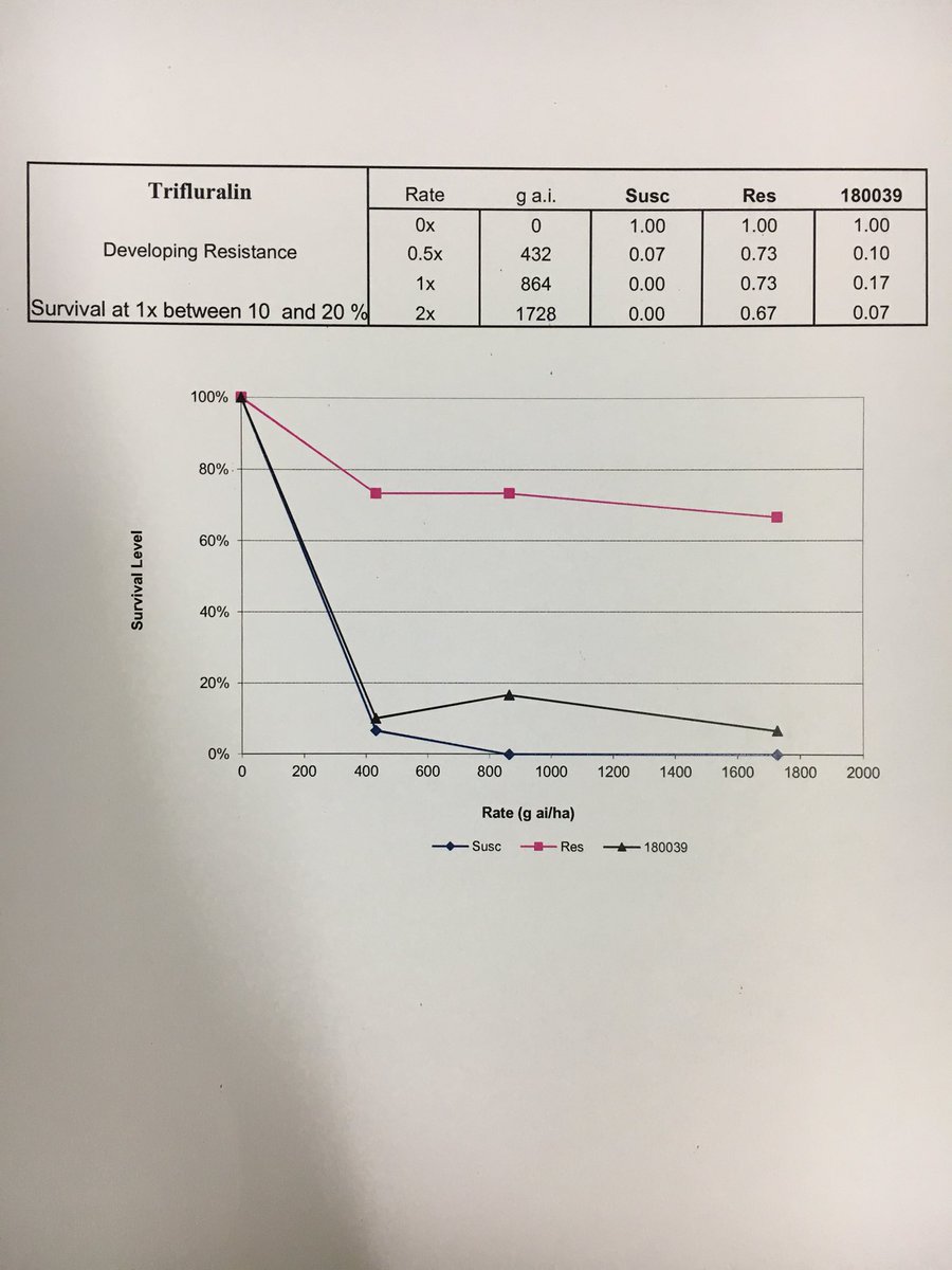 Awesome results coming back in from <a href="/CharlesSturtUni/">Charles Sturt University</a> for a number of clients weed populations. Highly recommend getting the test done to allow accurate strategic planning to beat your weed population going forward