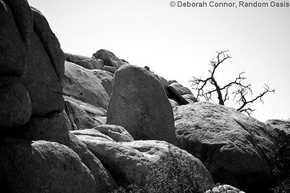 RandomOasis's tweet image. New Listing: Nature prints, nature photography, nature print, digital, Black and White, rock photo, national park , landscape photo, Surreal photo by RandomOasis, ift.tt/2aQhdr1