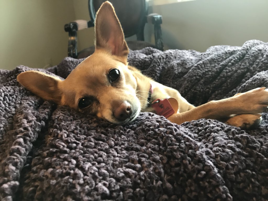 LolaBillick's tweet photo. my family always think i need to model more them. why do i have to be so gorgeous. https://t.co/YlJBr8Fqeh